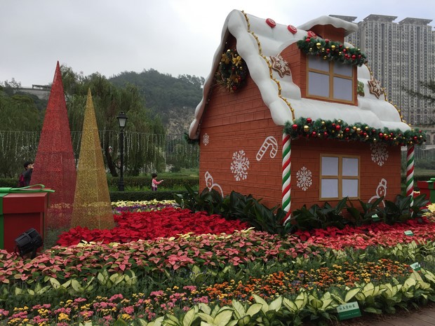 Macao Christmas Flower Show_13