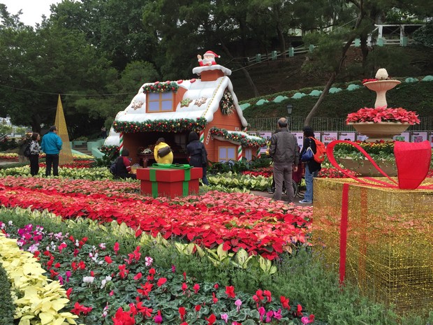 Macao Christmas Flower Show_17