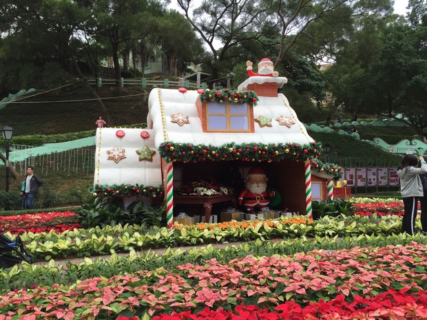 Macao Christmas Flower Show_18
