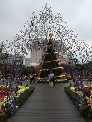 Macao Christmas Flower Show_21