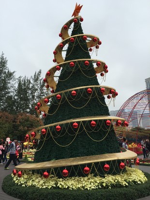Macao Christmas Flower Show_22