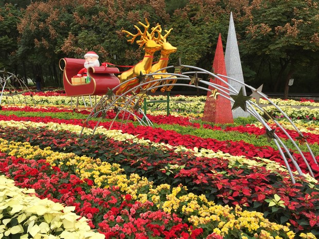 Macao Christmas Flower Show_27
