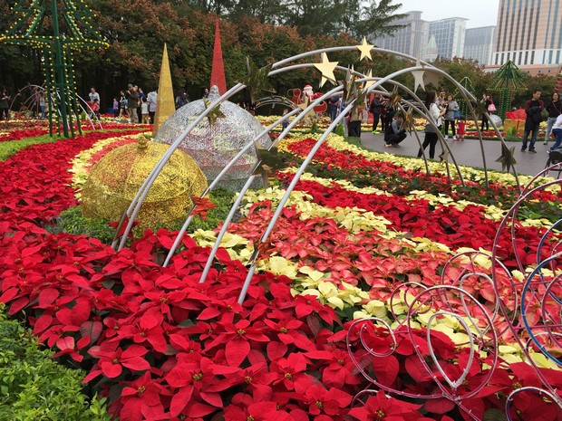 Macao Christmas Flower Show_28