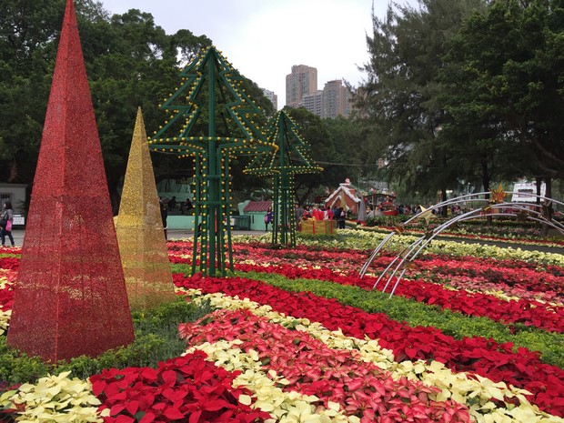 Macao Christmas Flower Show_29