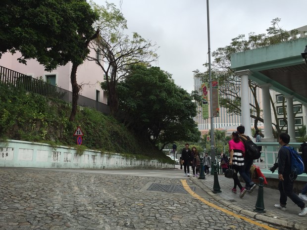 Macao Christmas Flower Show_34