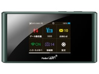 Pocket WiFi 303ZT