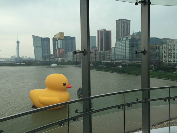 Yellow Duck at Macau_07