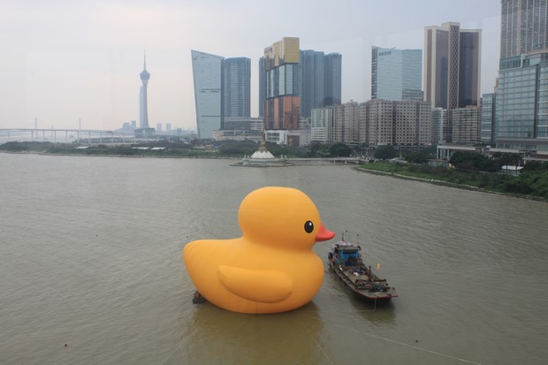 Yellow Duck at Macau_08
