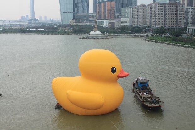Yellow Duck at Macau_09