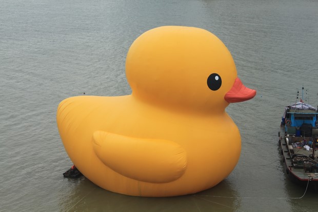 Yellow Duck at Macau_10