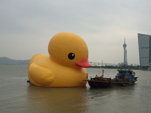 Yellow Duck at Macau_20