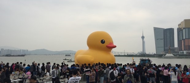 Yellow Duck at Macau_22