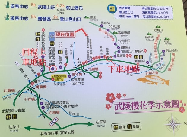 武陵農場櫻花季地圖