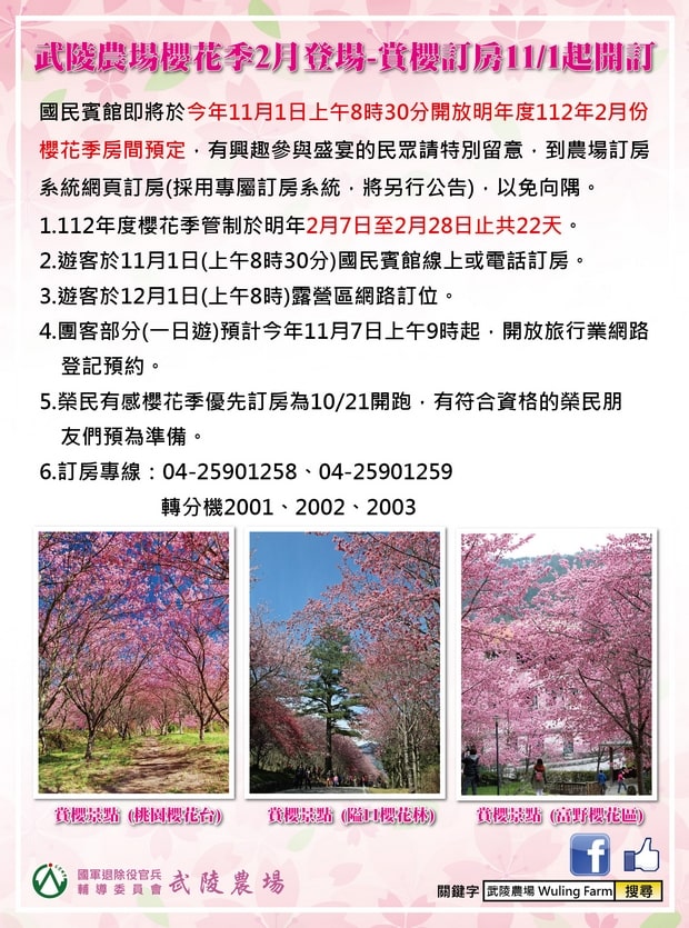 武陵賓館櫻花季