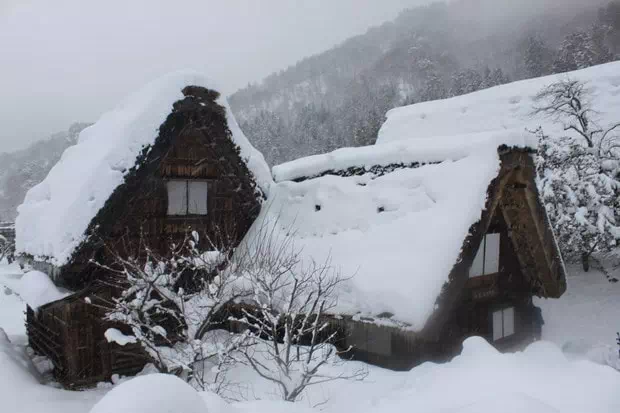 白川鄉合掌屋