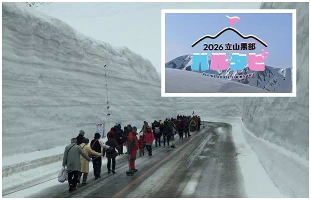 立山黒部雪の大谷
