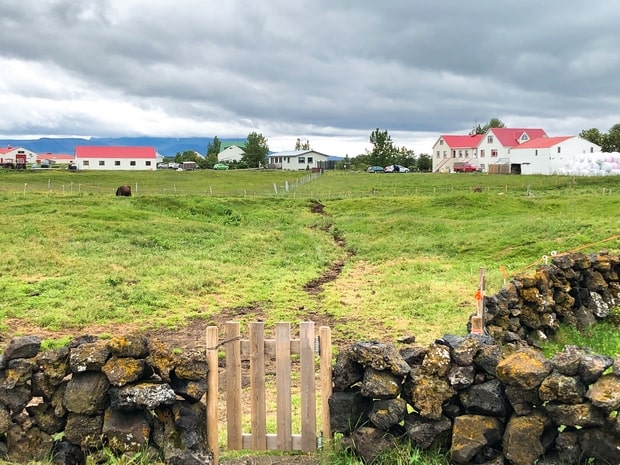 Vogafjós Farm Resort Iceland