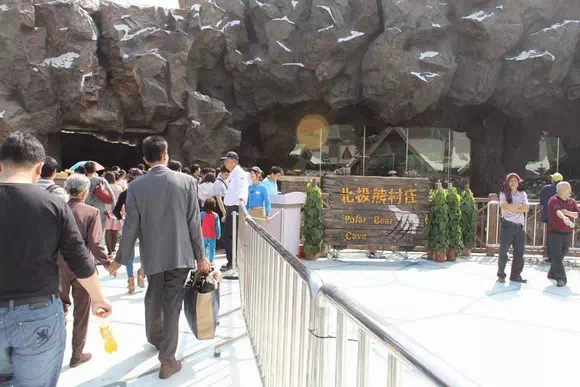 長隆海洋王國北極熊館