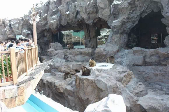 長隆海洋王國_北極熊館3