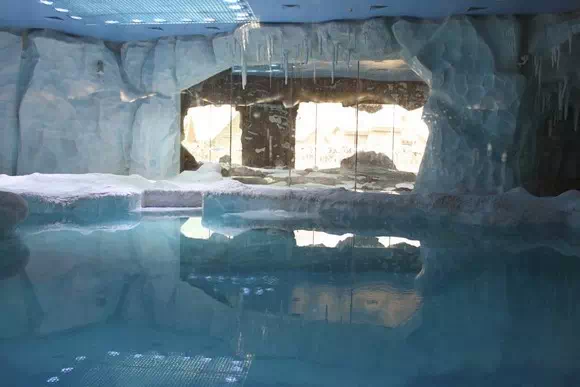 長隆海洋王國_北極熊館8