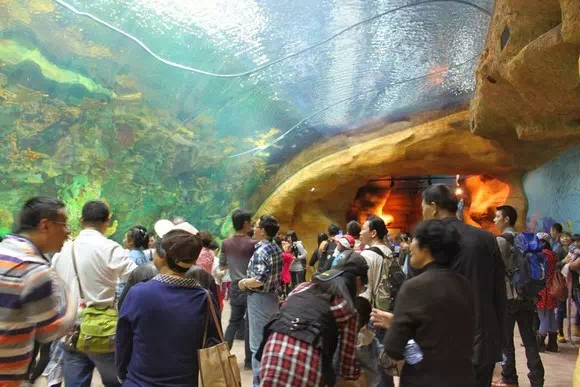 珠海長隆海洋王國_鯨鯊館