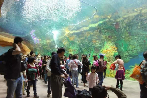 長隆海洋王國_鯨鯊館