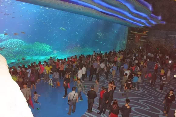 珠海長隆海洋王國_海洋奇觀_10