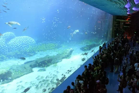 珠海長隆海洋王國_海洋奇觀_11