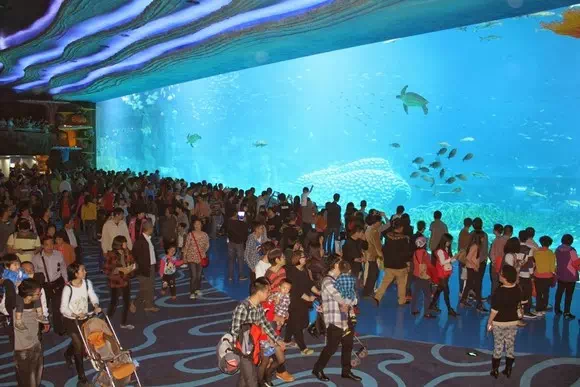 珠海長隆海洋王國_海洋奇觀_13