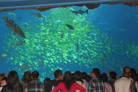珠海長隆海洋王國_海洋奇觀_14