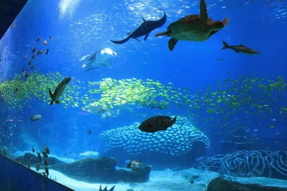 珠海長隆海洋王國_海洋奇觀_27