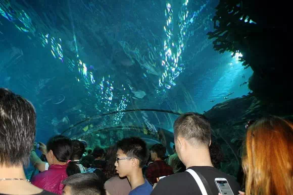 珠海長隆海洋王國_海洋奇觀_31