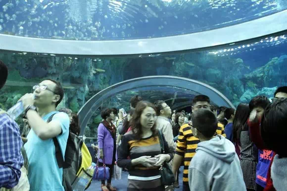 珠海長隆海洋王國_海洋奇觀_33