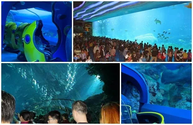 長隆海洋王國海洋奇觀