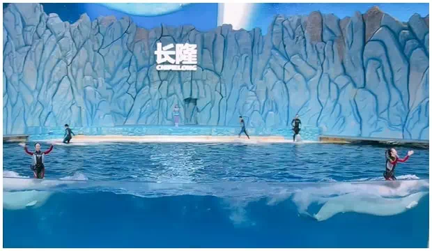 珠海長隆海洋王國白鯨表演