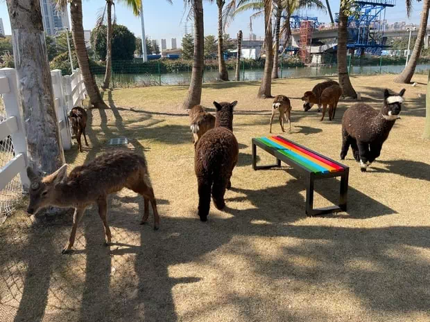 中山奇遇時光樂園萌寵樂園