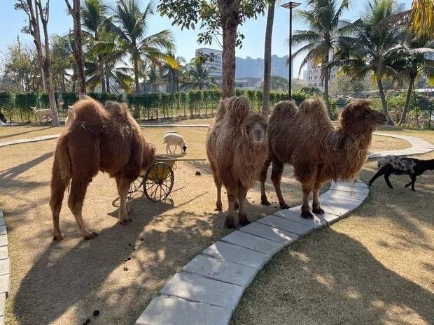 中山奇遇時光樂園萌寵樂園