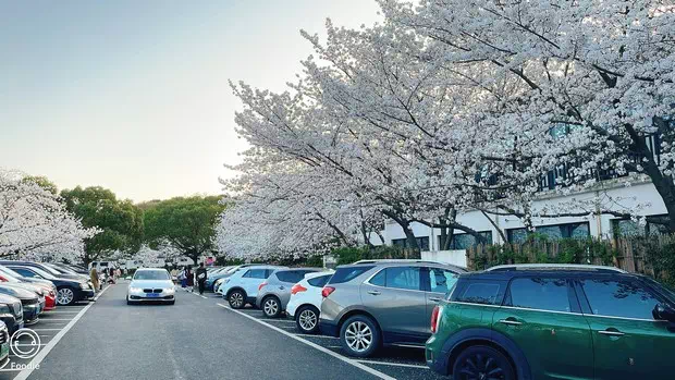 無錫櫻花山莊停車場