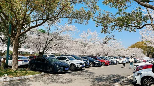 櫻花山莊職工停車場