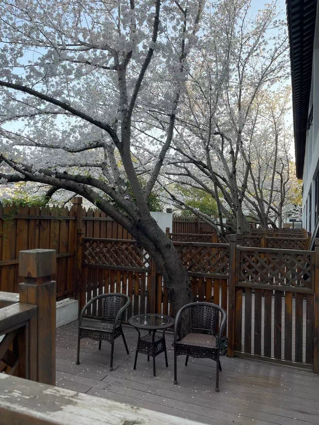 無錫櫻花山莊客房