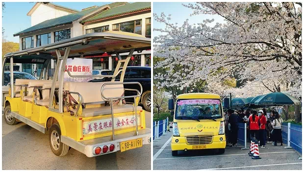 櫻花山莊住客接駁車