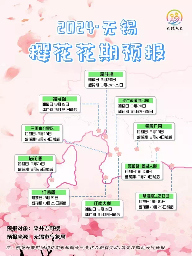 無錫櫻花預測
