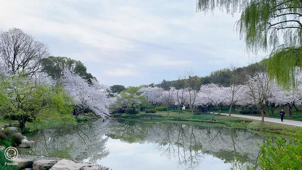 黿頭渚無鍚人杰苑-圖2