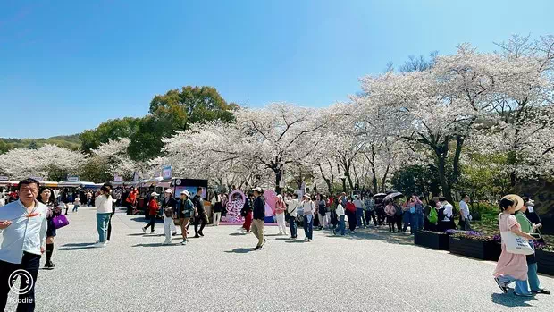 黿頭渚美食市集-圖2