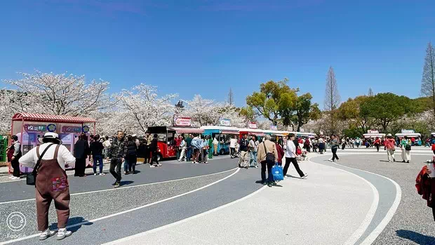 黿頭渚美食市集-圖3