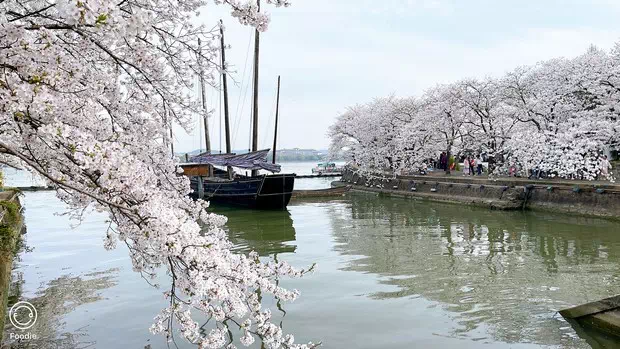 黿頭渚太湖佳絕處-圖1