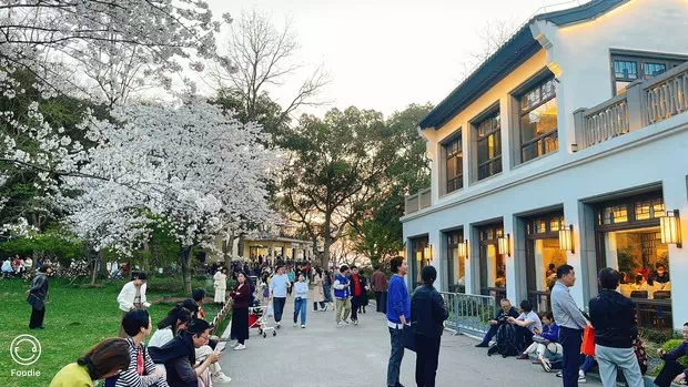 黿頭渚橫雲飯店-圖1