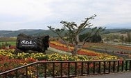 北海道初秋自駕之旅(2009年)