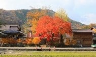 日本中部自駕遊(2010年)