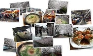 韓國首爾+釜山賞櫻之旅(2015年)